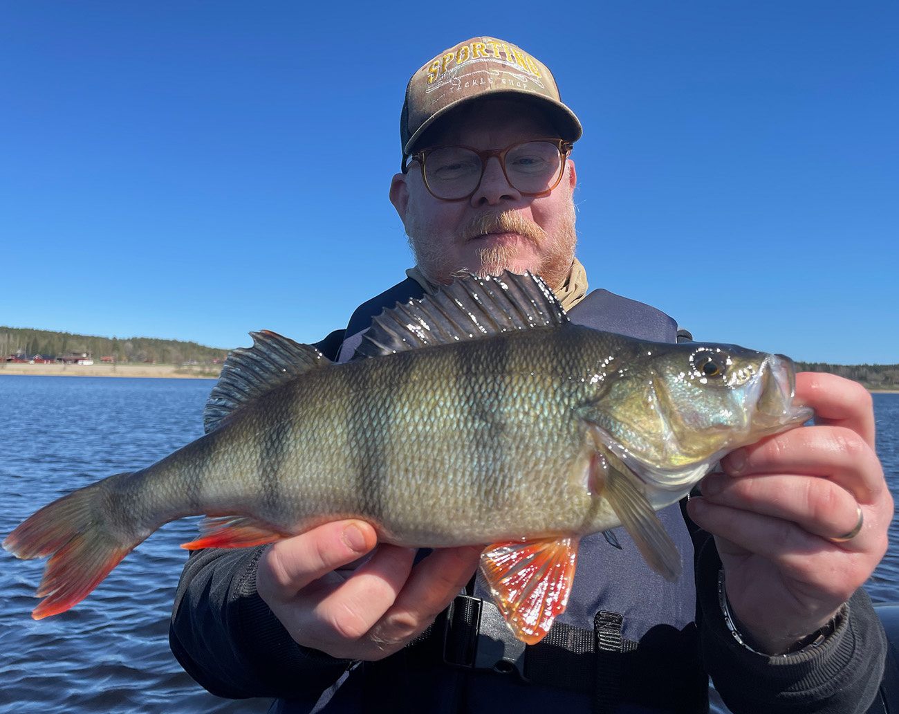 Geecrack Revival Shad 5' 